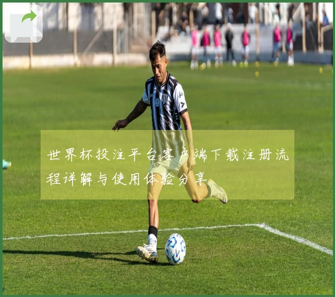 世界杯投注平台客户端下载注册流程详解与使用体验分享