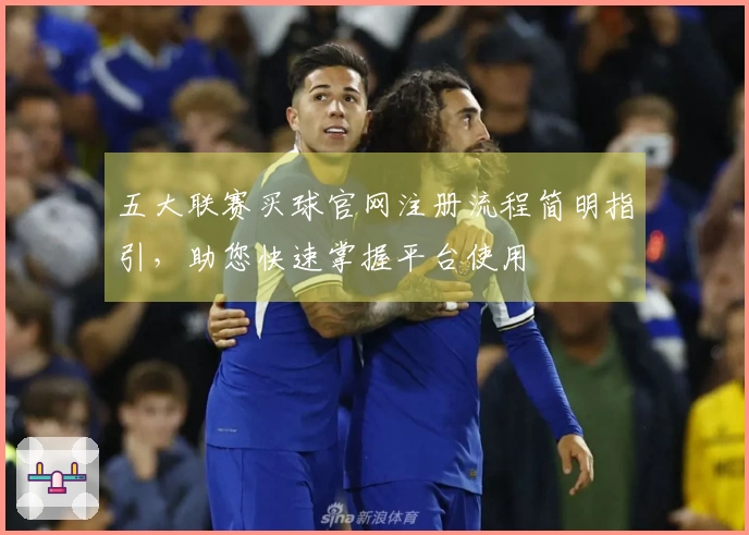 五大联赛买球官网注册流程简明指引，助您快速掌握平台使用