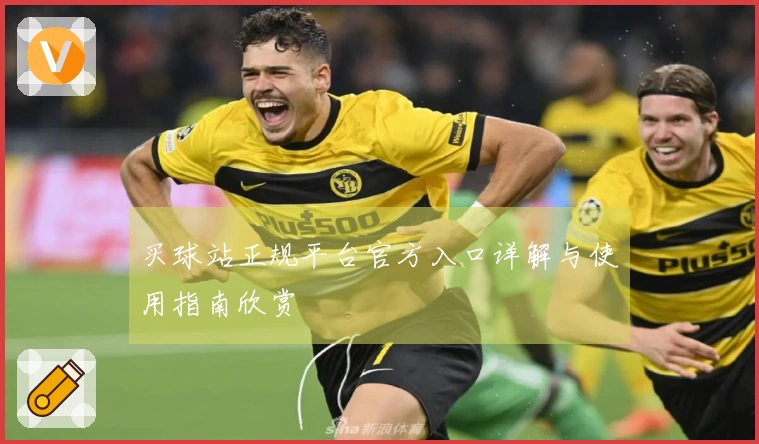 买球站正规平台官方入口详解与使用指南欣赏