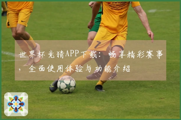 世界杯竞猜APP下载：畅享精彩赛事，全面使用体验与功能介绍
