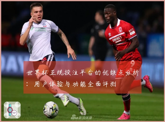 世界杯正规投注平台的优缺点分析:用户体验与功能全面评测