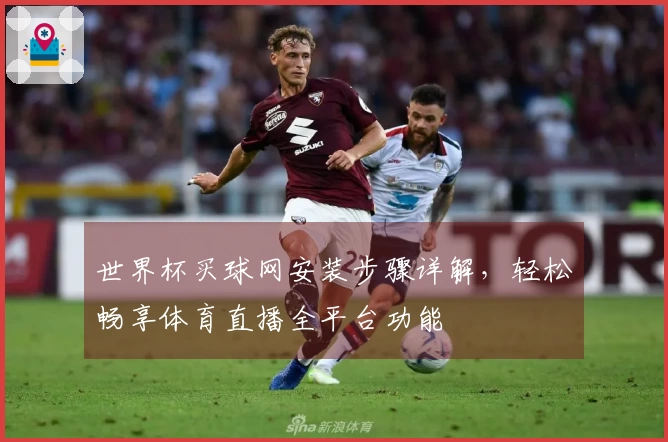 世界杯买球网安装步骤详解，轻松畅享体育直播全平台功能