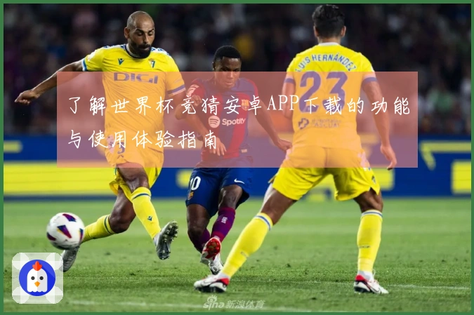 了解世界杯竞猜安卓APP下载的功能与使用体验指南