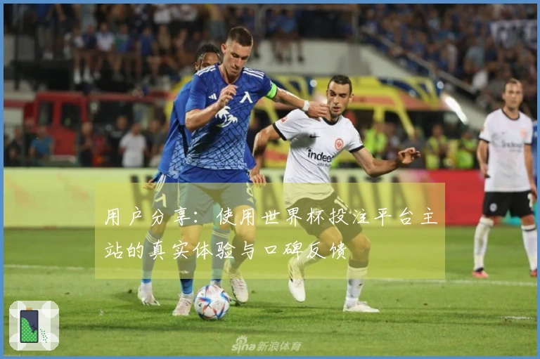 用户分享：使用世界杯投注平台主站的真实体验与口碑反馈