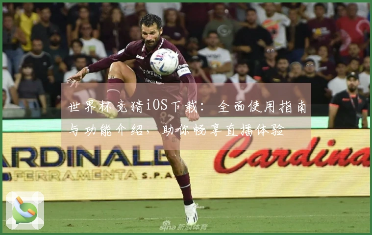 世界杯竞猜iOS下载：全面使用指南与功能介绍，助你畅享直播体验