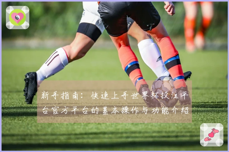 新手指南:快速上手世界杯投注平台官方平台的基本操作与功能介绍