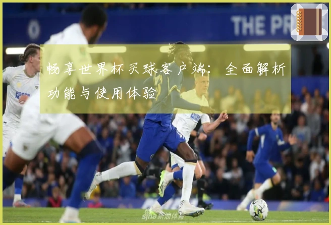 畅享世界杯买球客户端：全面解析功能与使用体验