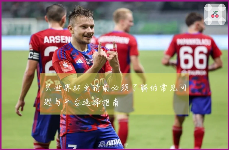 买世界杯竞猜前必须了解的常见问题与平台选择指南