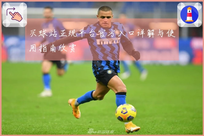 买球站正规平台官方入口详解与使用指南欣赏
