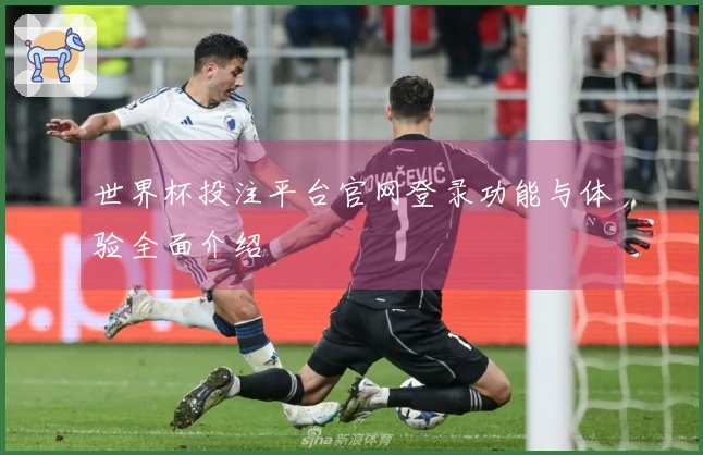 世界杯投注平台官网登录功能与体验全面介绍