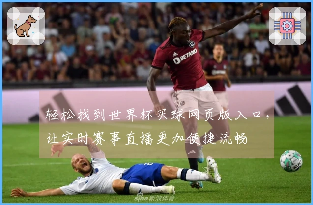 轻松找到世界杯买球网页版入口，让实时赛事直播更加便捷流畅