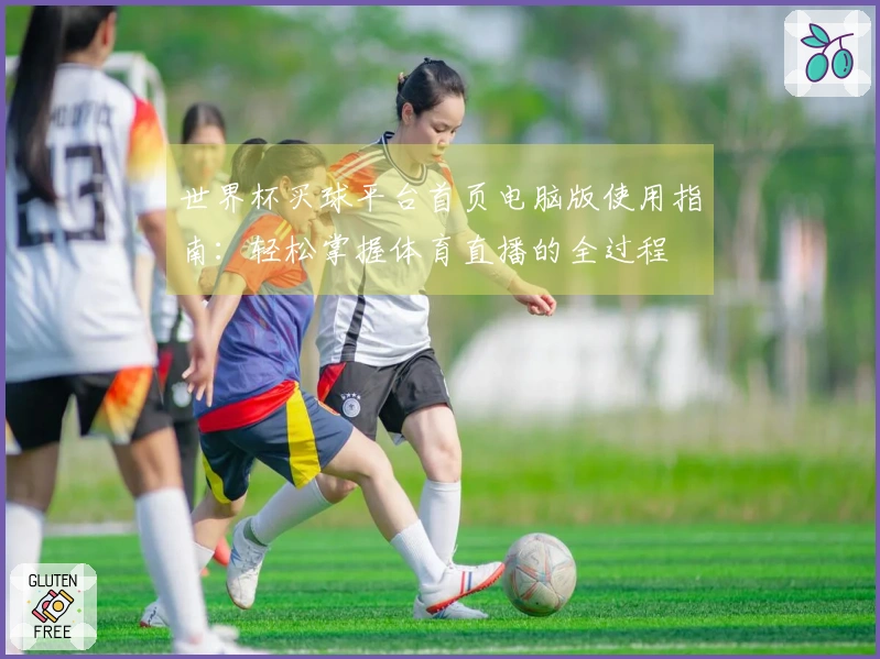世界杯买球平台首页电脑版使用指南：轻松掌握体育直播的全过程