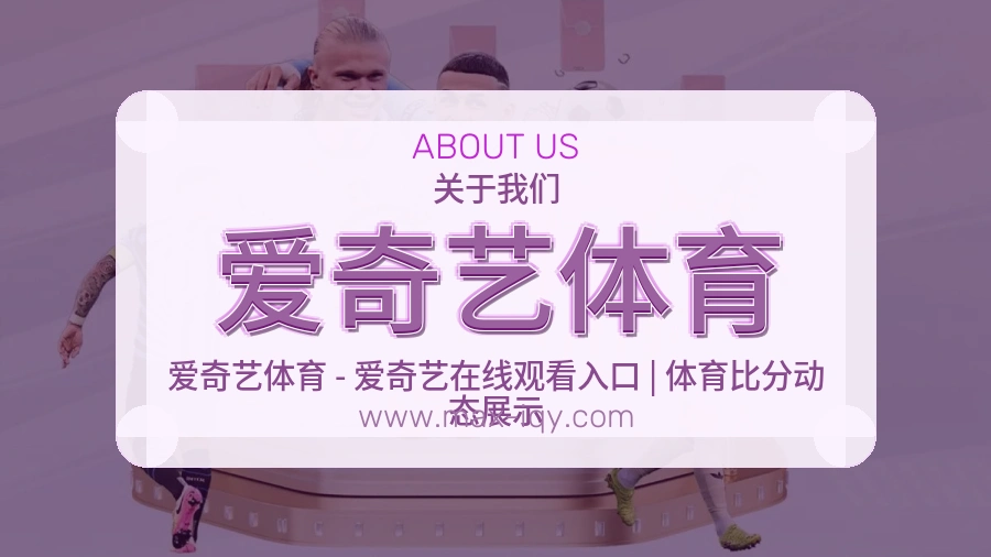 <strong>爱奇艺体育</strong>稳妥服务介绍